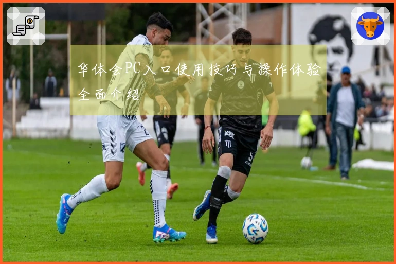 华体会PC入口使用技巧与操作体验全面介绍