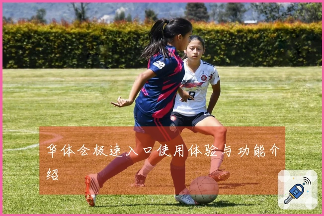 华体会极速入口使用体验与功能介绍